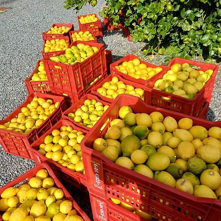 Profumo Di Zagara Acireale Villa Ngoại thất bức ảnh